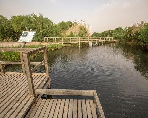 Azraq Eco Lodge, 