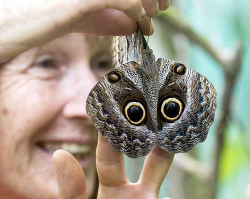 Unforgettable Iquitos 04 Days - 03 Nights