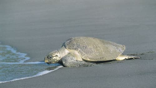 Karibik mal anders Rundreise
