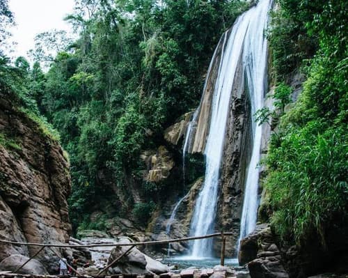 Central Jungle and its Aromas 05 Days / 04 Nights