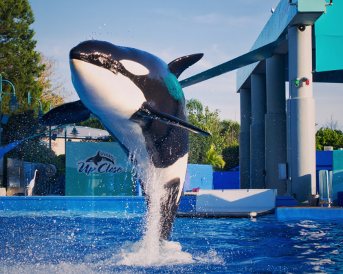 PLAN ESCAPADA ORLANDO PARA DOS: PARQUES Y TOUR DE COMPRAS