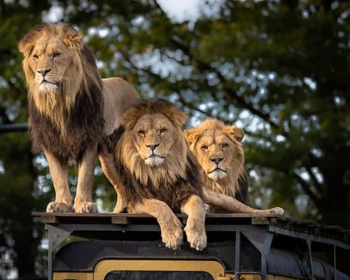 (6 Nights) – Bali Scenic & Wildlife Tour