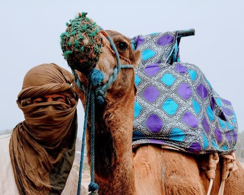 Viaggio in Marocco: Itinerario di 8 Giorni