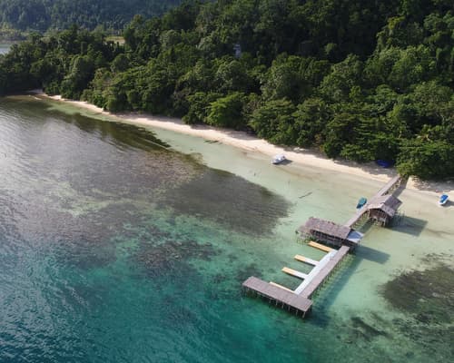 Dive Into Raja Ampat