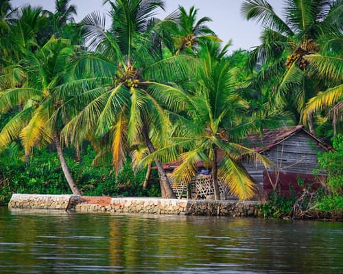 Private Kurztour: "Magisches Kerala – Faszination Wildnis & Hausboot-Erlebnis"