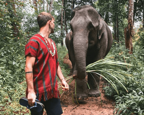 2D1N - Elephant Jungle Expedition