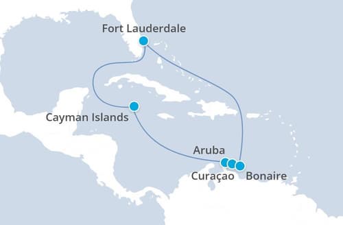 Celebrity Reflection