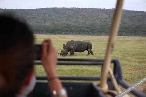 Sarova Lion Hill Game Lodge, 