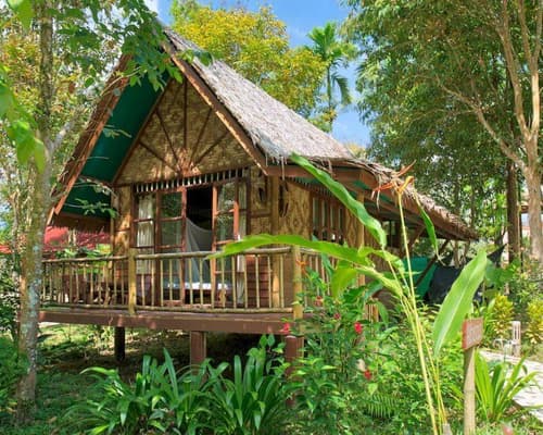 Our Jungle House Lost Horizons, 