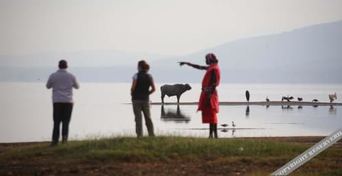 Sarova Lion Hill Game Lodge, 