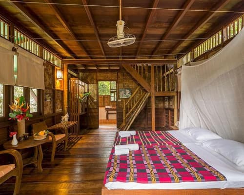 Our Jungle House Lost Horizons, 