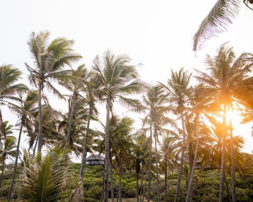 Travessia Beach Lodge, 