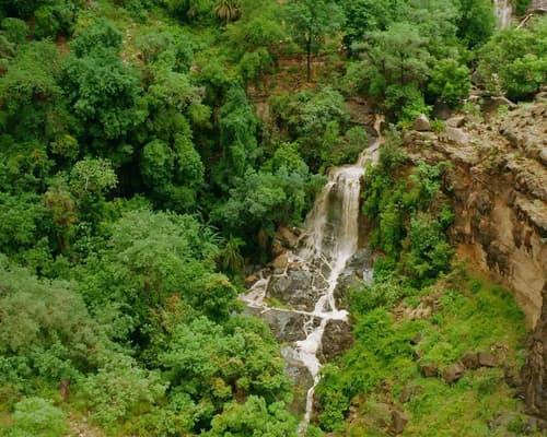 3 Days 1n JEDDAH 5* (BB) | 1n JAZAN 5* (BB)