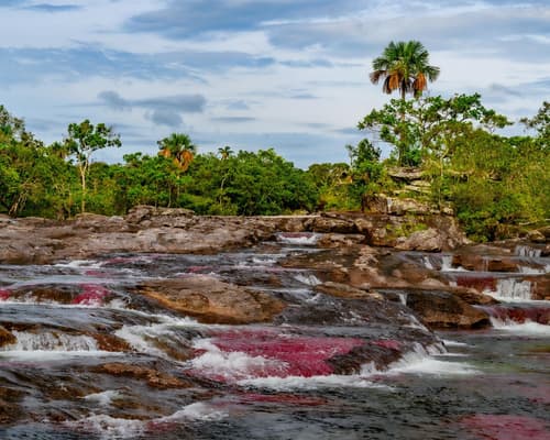 Caño Cristales  River of the 7 Colors