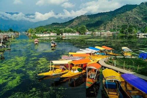 Best of Kashmir - Hotels & Sightseeing