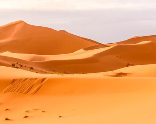 MARRUECOS Y LA PUERTA DEL SAHARA