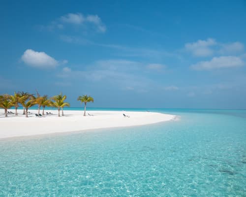 Rep. Dominicana(Bayahibe)-Partida de Lisboa-Classe Business