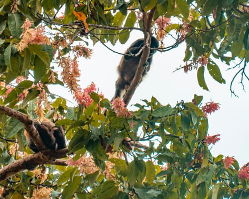  Descubre los Manglares de Churute
