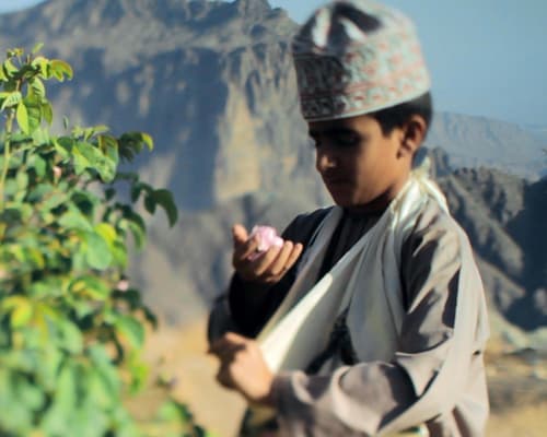 Circuit Paysage d'Oman