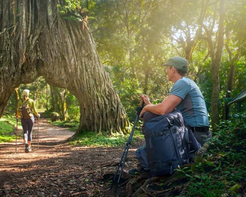 The lands of Tanzania (2026)