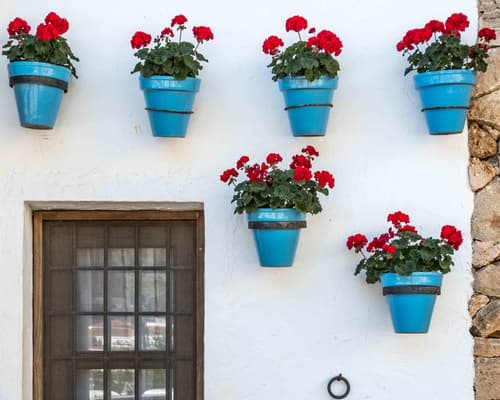 #PUEBLOSMÁGICOS-RUTA CÁDIZ Y PUEBLOS BLANCOS 