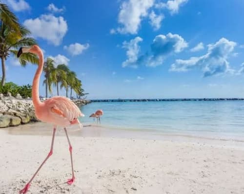 Aruba con LATAM + Carry on "01 al 05 abr"