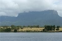 Fleur de Lys Guest Farm, 