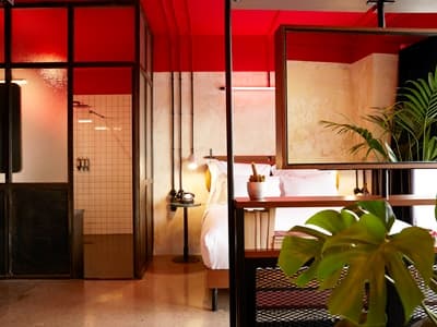 Dave Red Athens – Son of a Brown, 