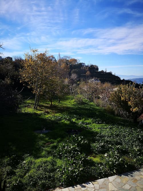 Effrosini Traditional Home, 