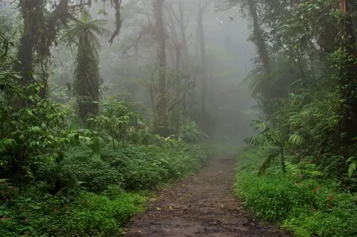 Costa Rica Natural Paradise
