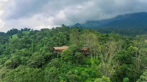 Vythiri Mist Resort, 