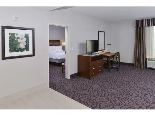 Hilton Garden Inn Hobbs, 