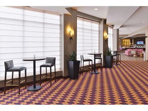 Hilton Garden Inn Hobbs, 