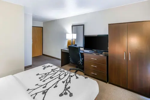 Sleep Inn near Washington State Line, Room