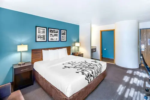 Sleep Inn near Washington State Line, Room