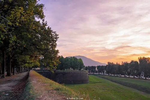 Best Western Grand Hotel Guinigi, Point of interest