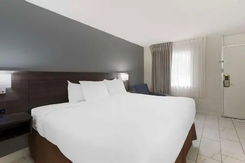 Downtown Inn & Studio Suites, Room