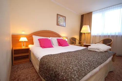 Hotel Mercure Torun Centrum, Room