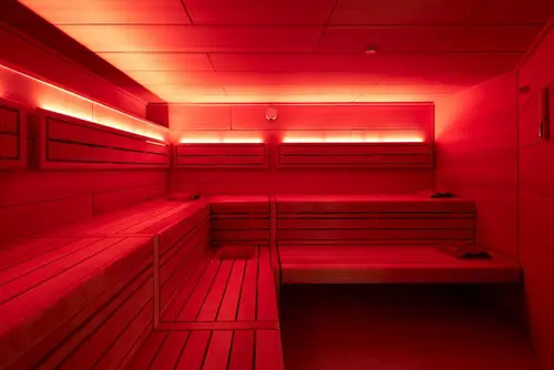 Classik Hotel Alexander Plaza, Sauna