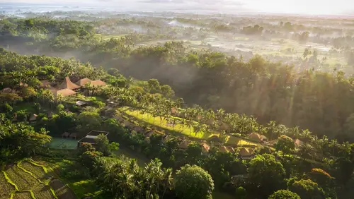 Maya Ubud Resort and Spa, Primary image