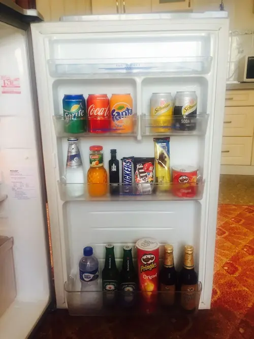Springs Hotel Ulaanbaatar, Mini-refrigerator