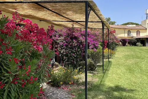 Horse Country Resort Congress & Spa - Hotel Ribot, Terrace/patio