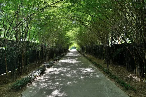 Twin Lotus Resort and Spa - ADULT ONLY, Interior entrance