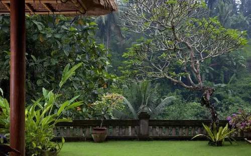 Viceroy Bali, Terrace/patio