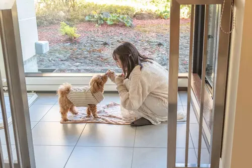 Hyatt Regency Hakone Resort and Spa, Room