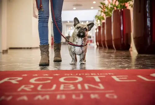 ARCOTEL Rubin Hamburg, Interior entrance