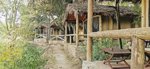 Fig Tree Camp, Room