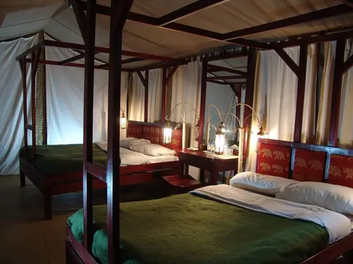 Fig Tree Camp, Room