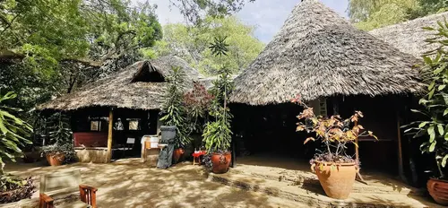 Fig Tree Camp, Lobby