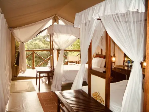 Fig Tree Camp, Room